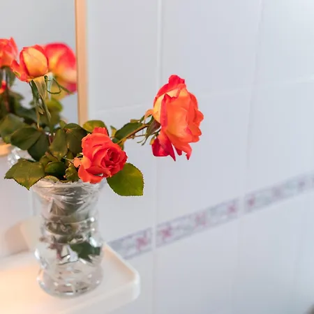 公寓 Maluz 阿雷纳尔登卡斯特尔